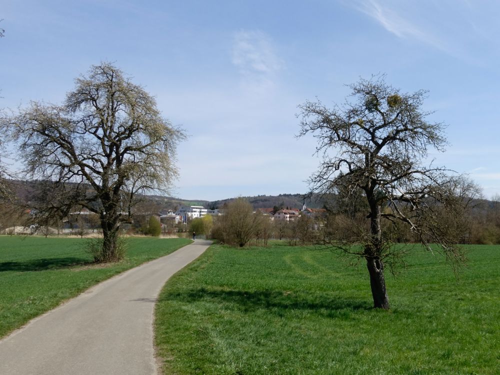 Blick Richtung Steisslingen