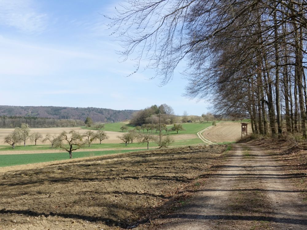 Waldrand bei Schwellet