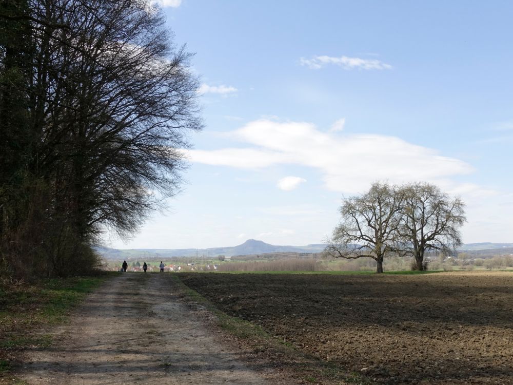 Blick Richtunh Hohenhewen