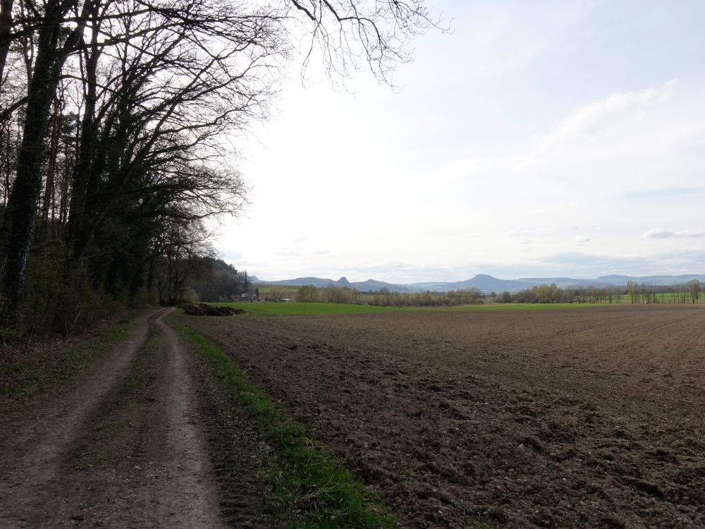 Hegaublick bei Hinterholzen