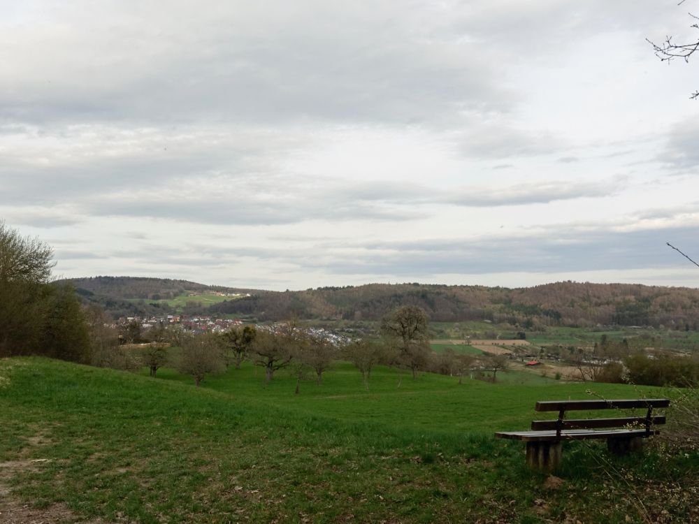 Blick Richtung Steisslingen