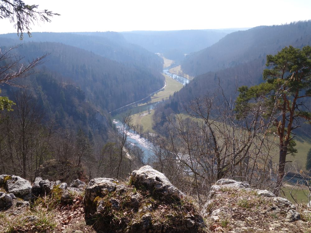 Blick auf die Donau