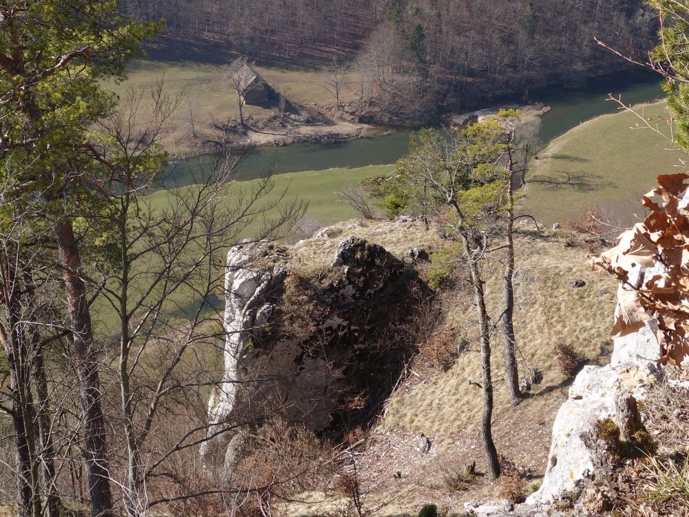 Blick auf die Donau