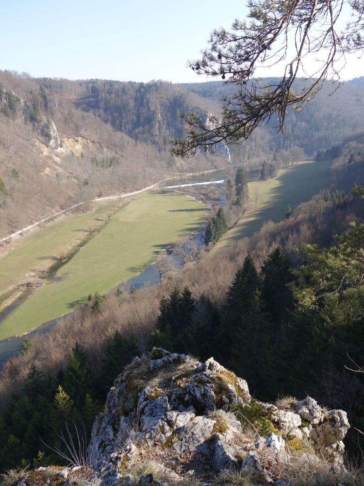 Blick auf die Donau