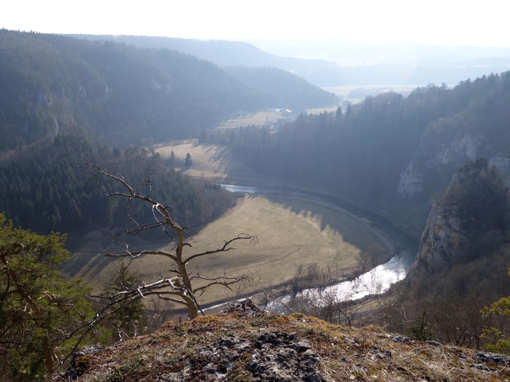 Blick auf die Donau