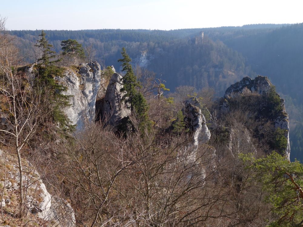 Blick zur Ruine Kallenberg