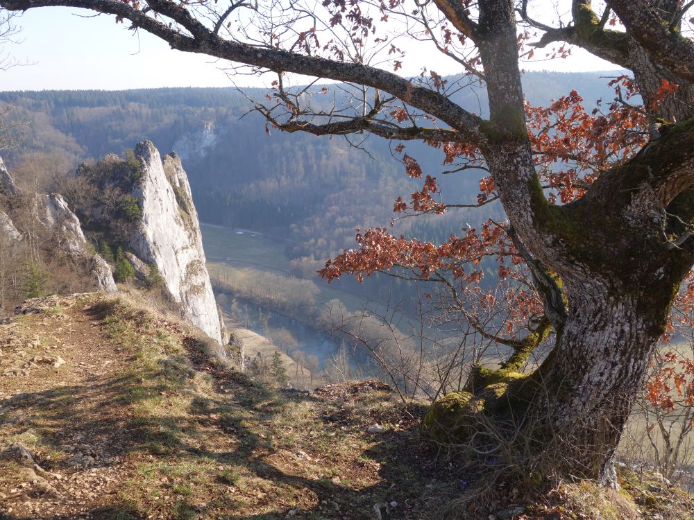 Blick auf die Donau