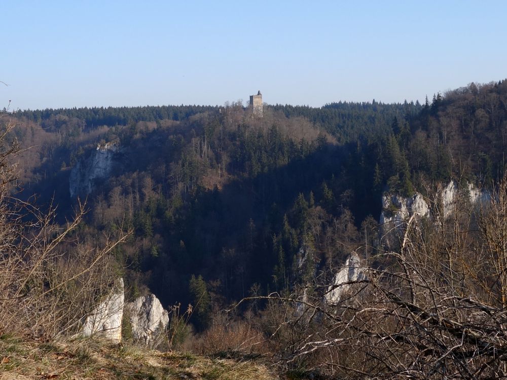 Ruine Kallenberg