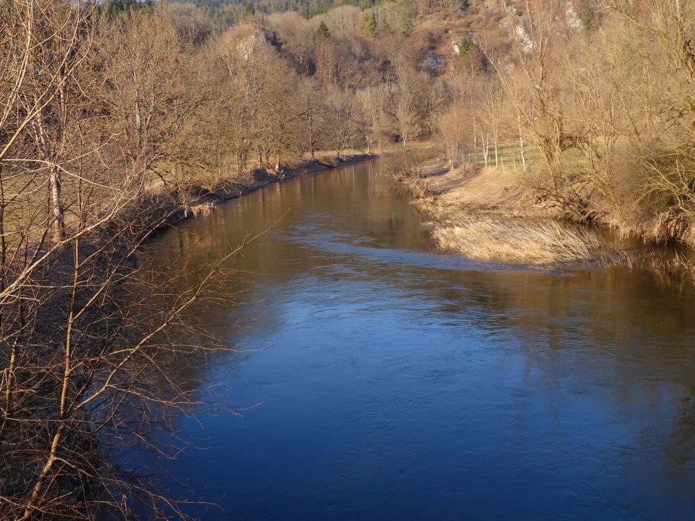 Donau beim Ziegelsteg