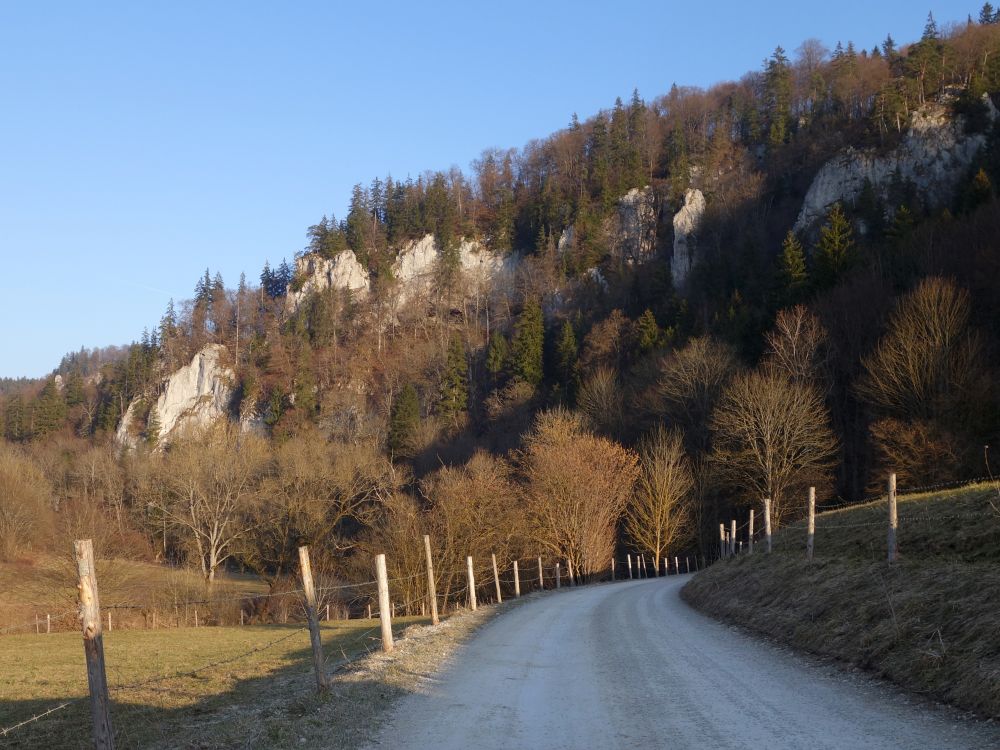 Weg bei Ziegelhütte