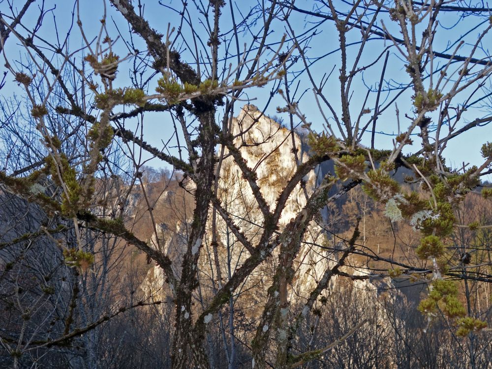 Stiegelesfels