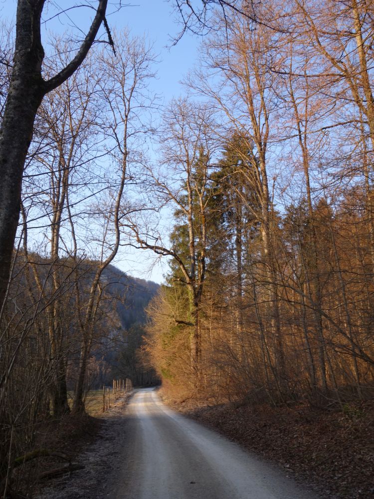 Donauweg zum Jgerhaus