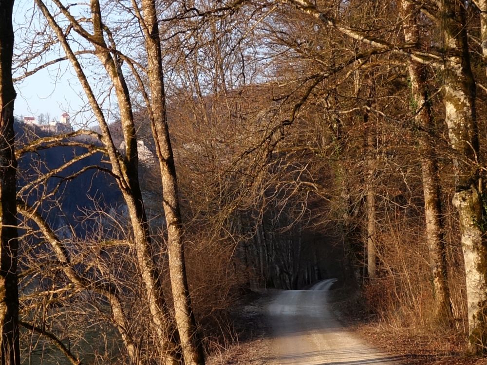 Donauweg und Schloss Bronnen