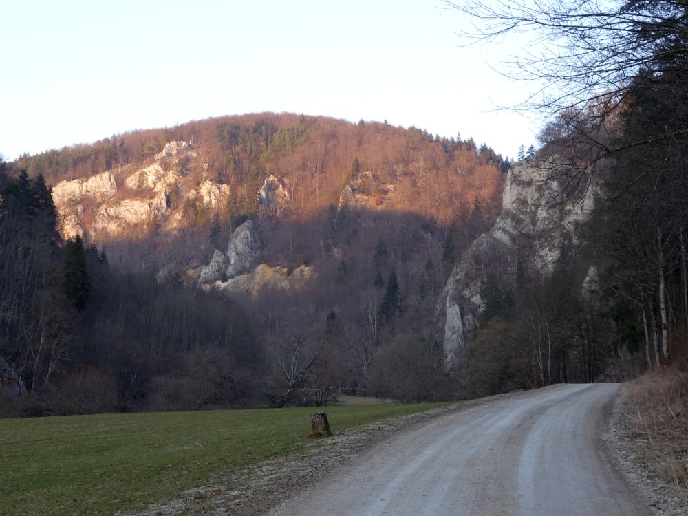 Donauweg zum Jägerhaus