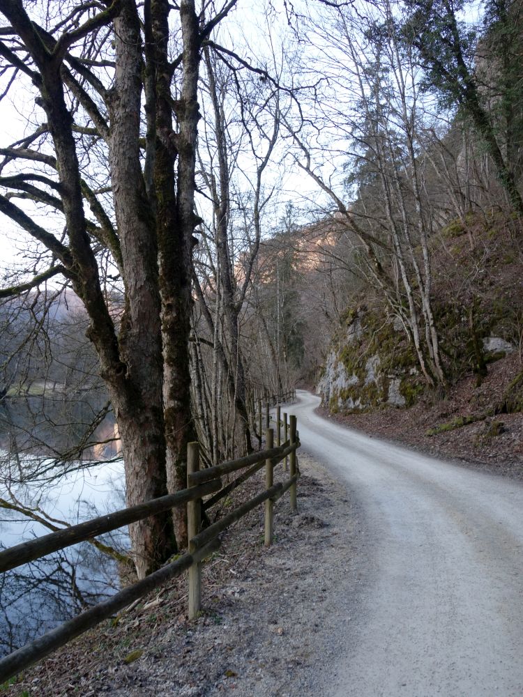 Donauweg zum Jgerhaus