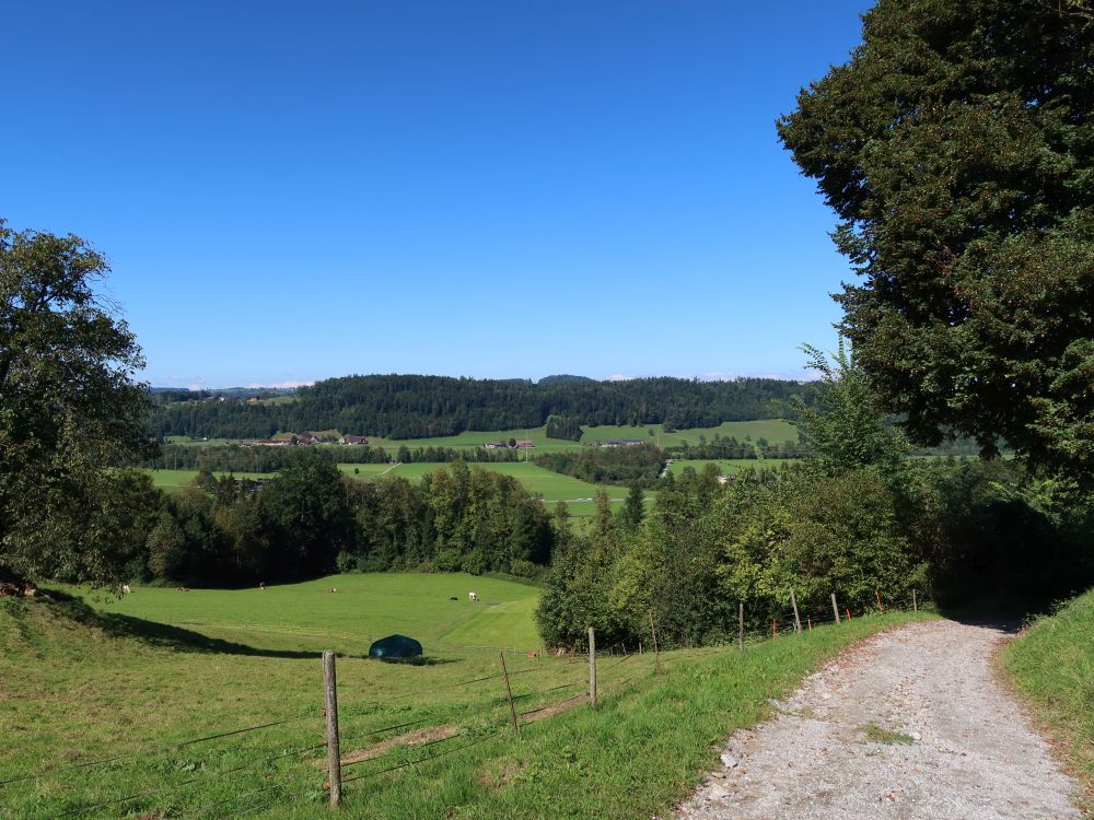 Chelessenhaldenweg