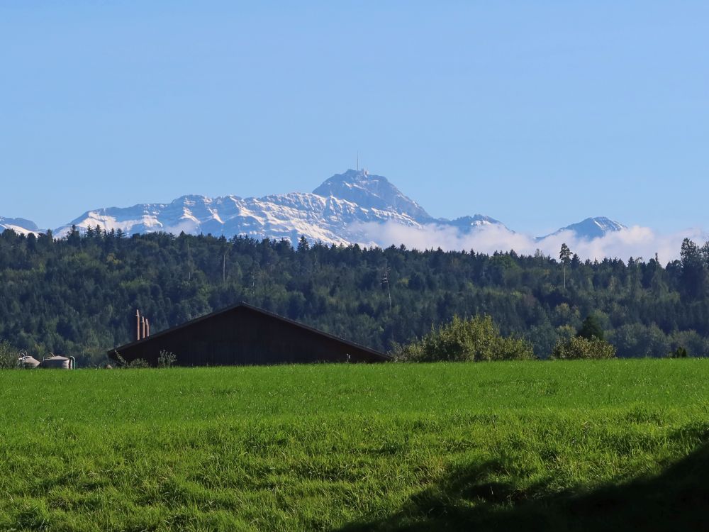 Säntis