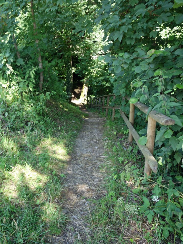 Wanderweg an der Wutach