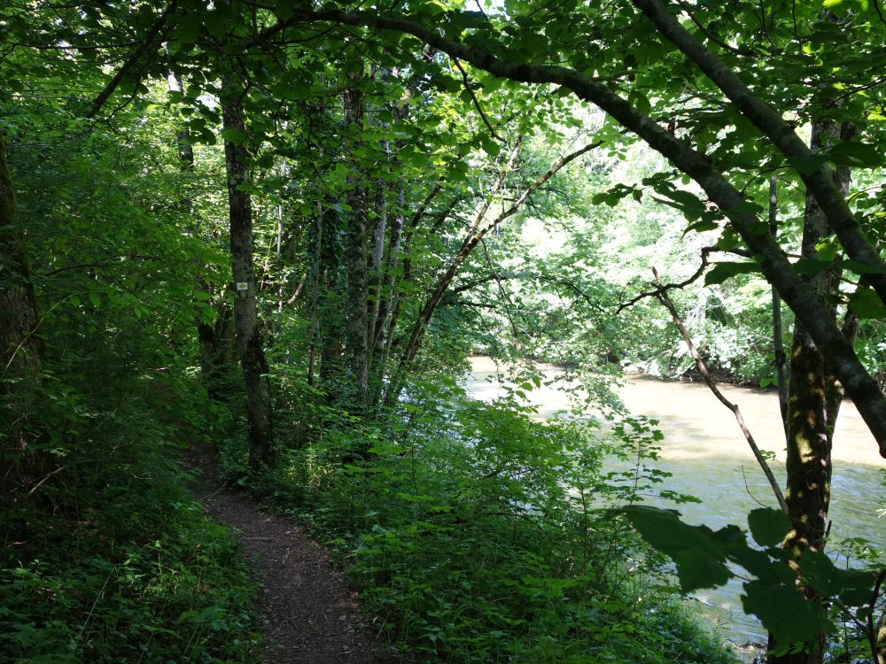 Wanderweg an der Wutach