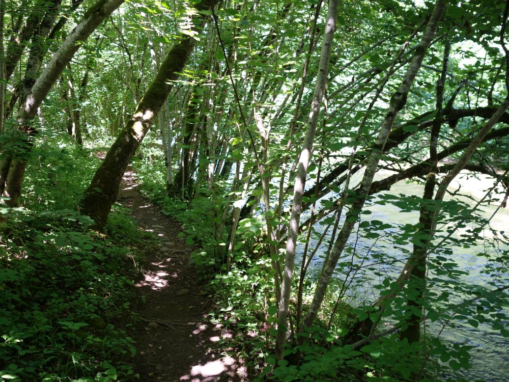 Wanderweg an der Wutach