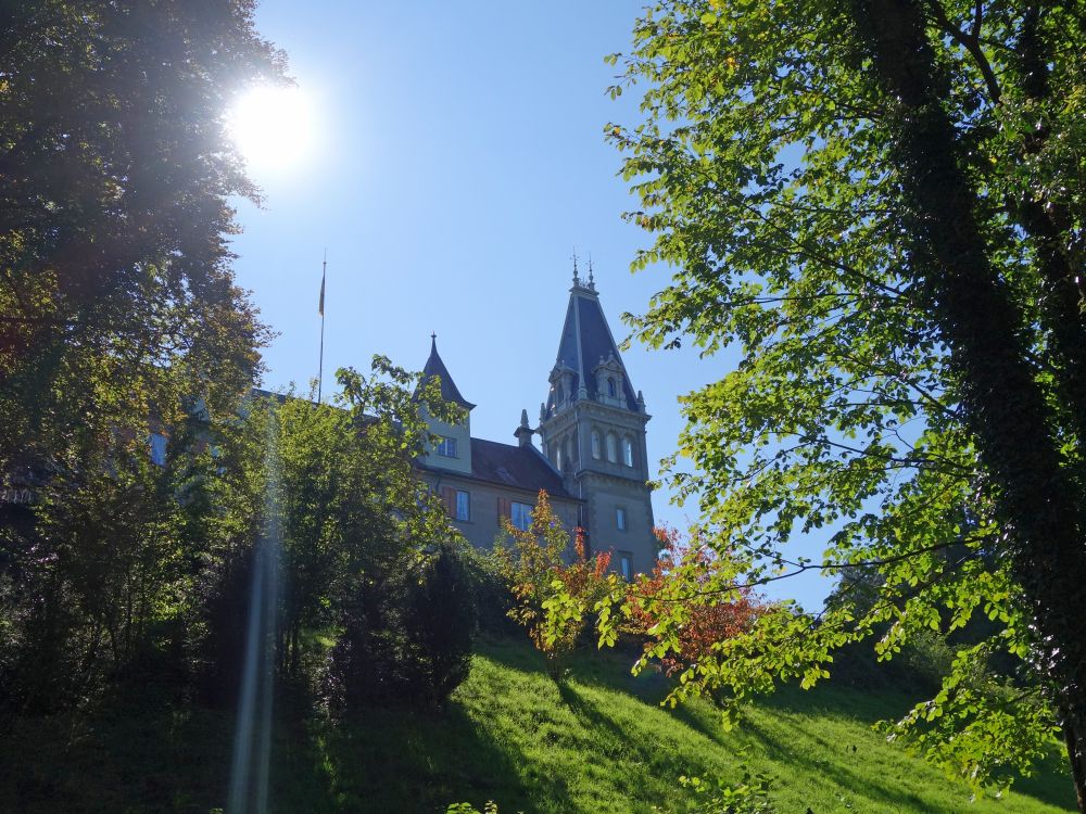 Schloss Castell