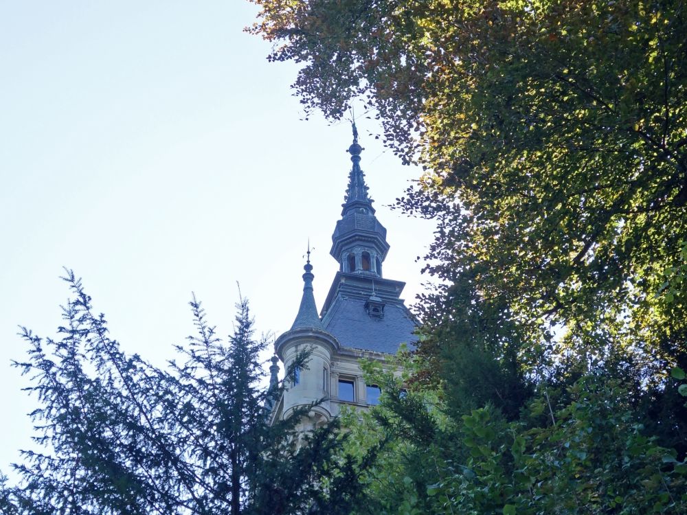 Turm Schloss Castell