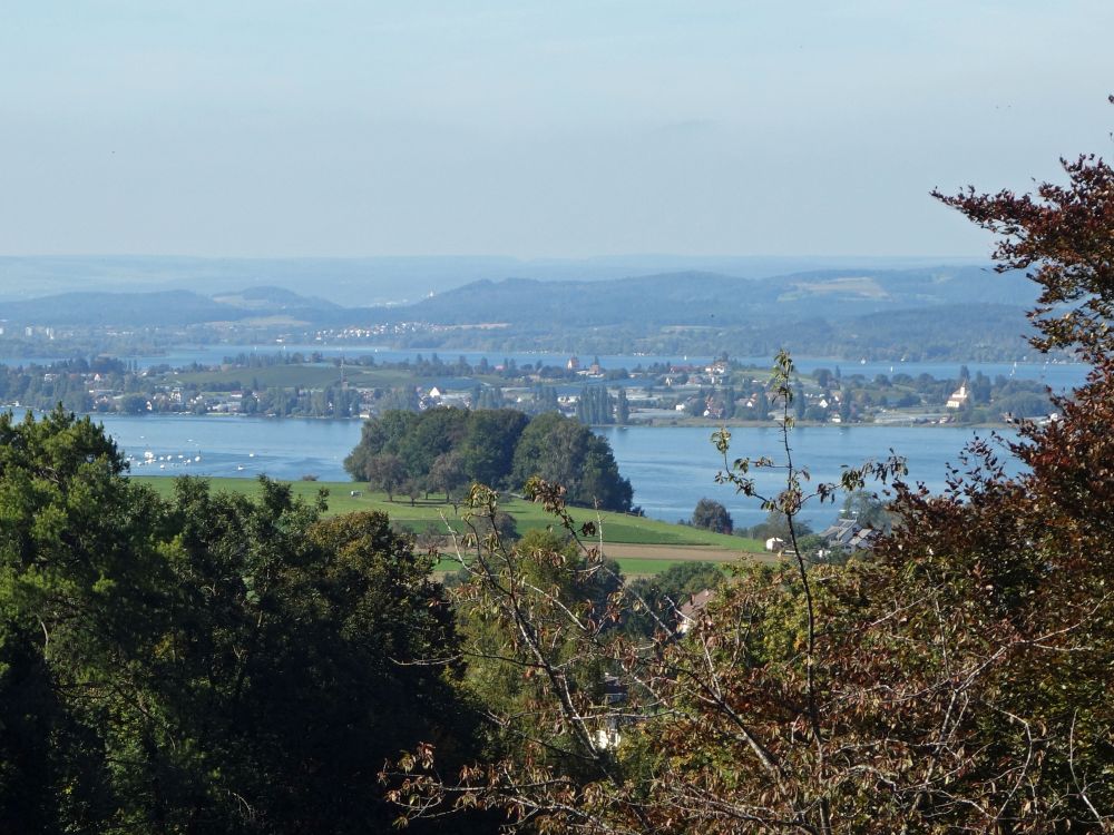 Reichenau