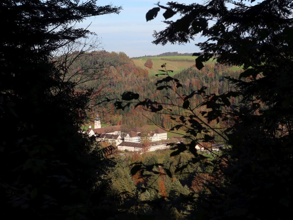 Kloster Fischingen