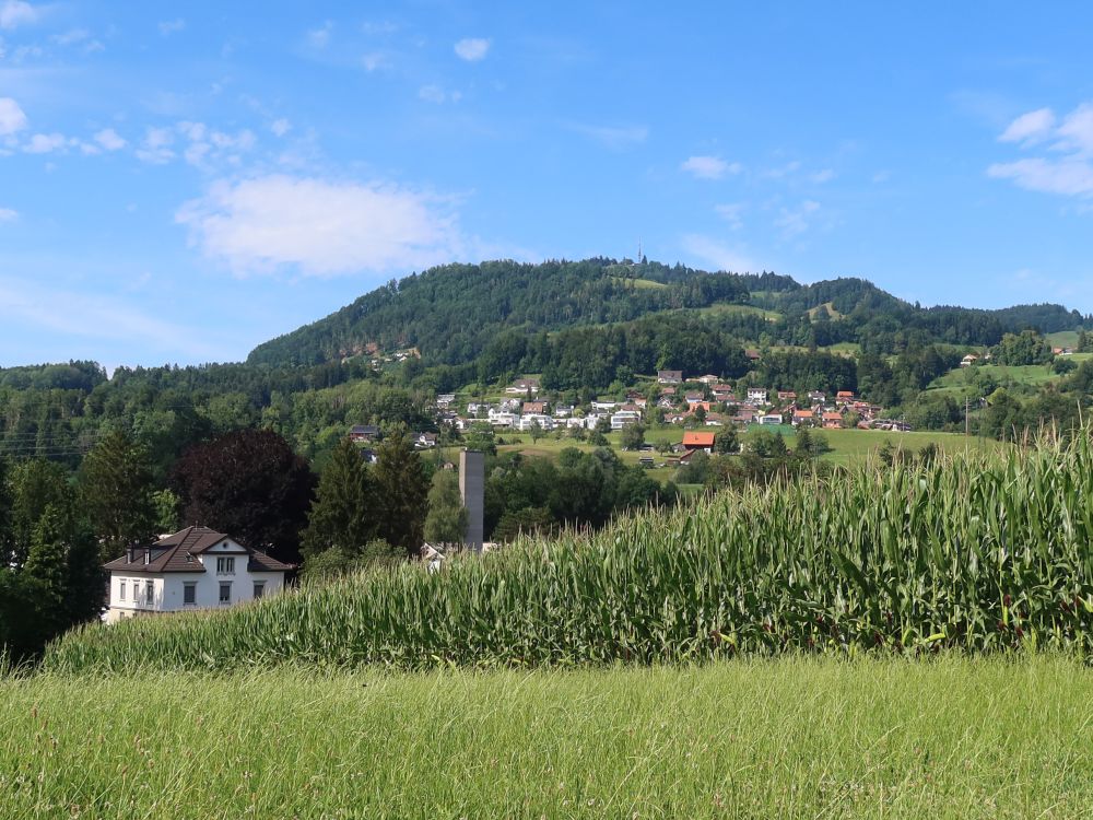 Bachtel über Breitenmatt