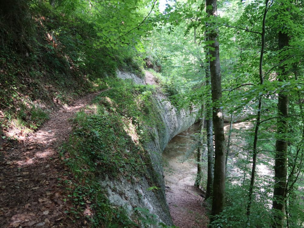 Dachseggbächli-Wasserfall