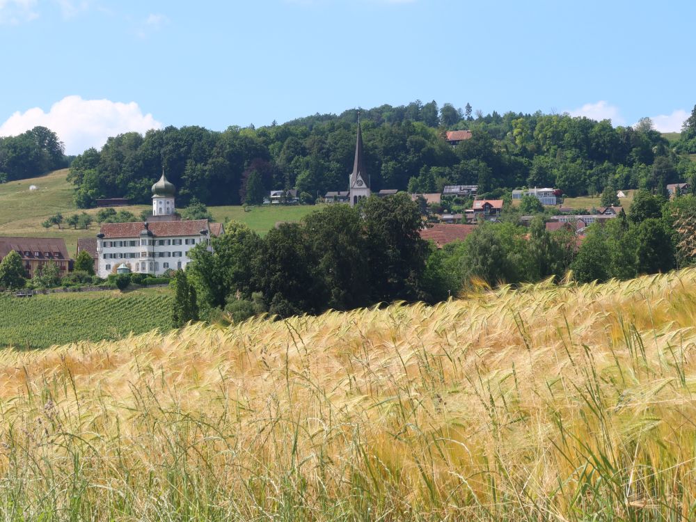 Schloss und Kirche von Herdern