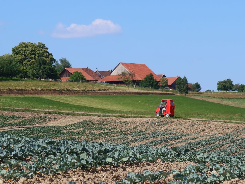 Minfahrzeug vor Wilen