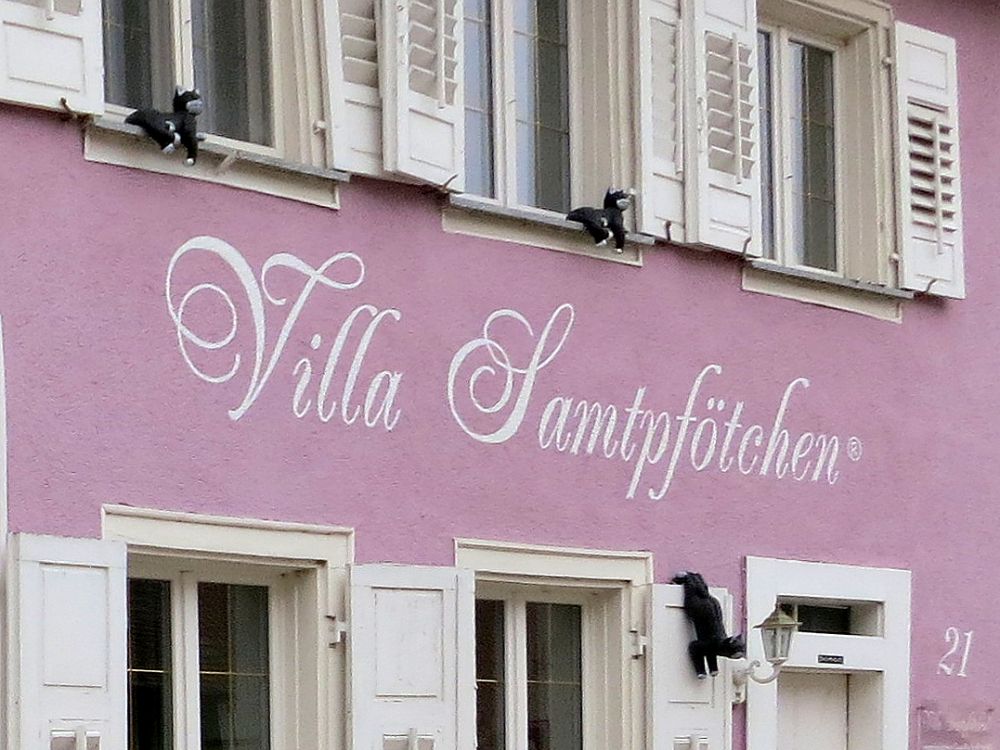 Villa Samtpftchen