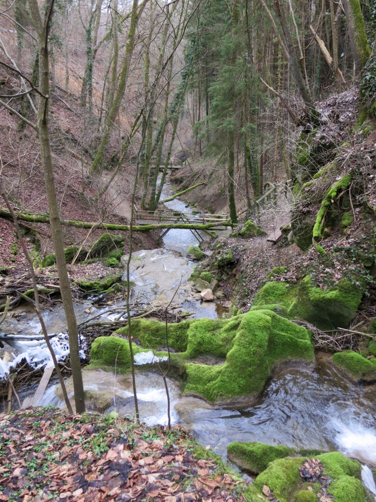 Mhlenschlucht