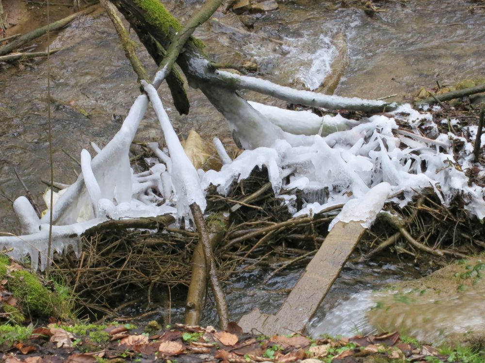 Mhlenschlucht