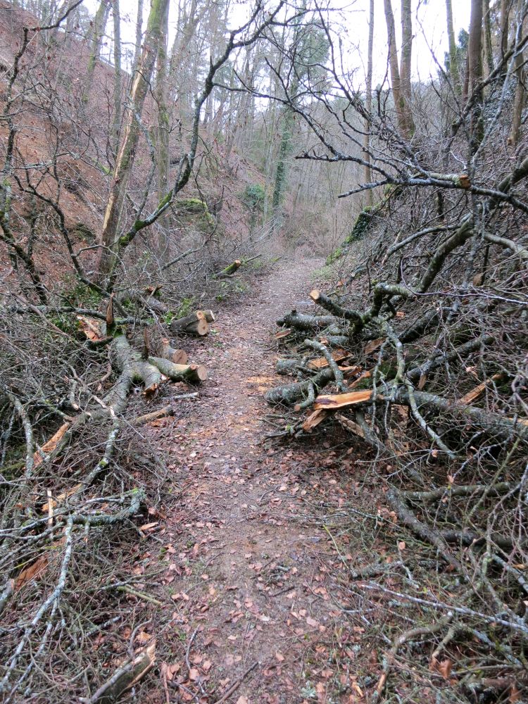 Mhlenschlucht