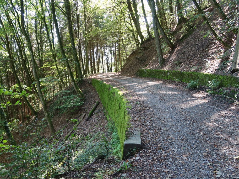 Waldweg