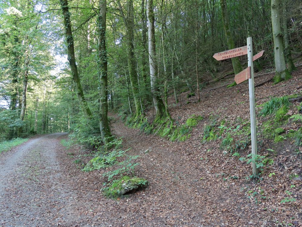 Waldweg