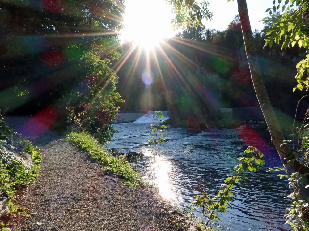 Limmat-Uferweg mit Gegenlicht