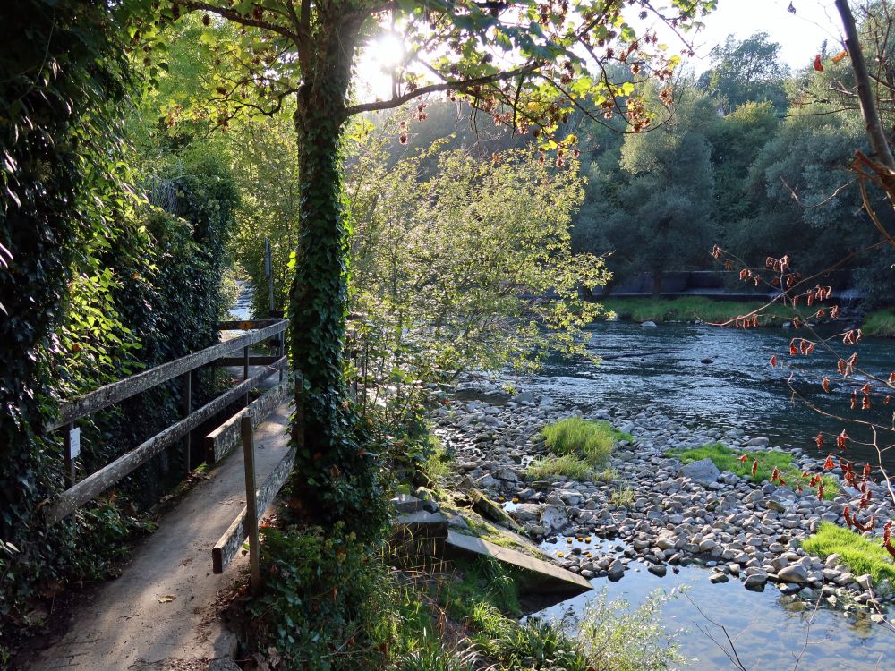 Limmat-Uferweg