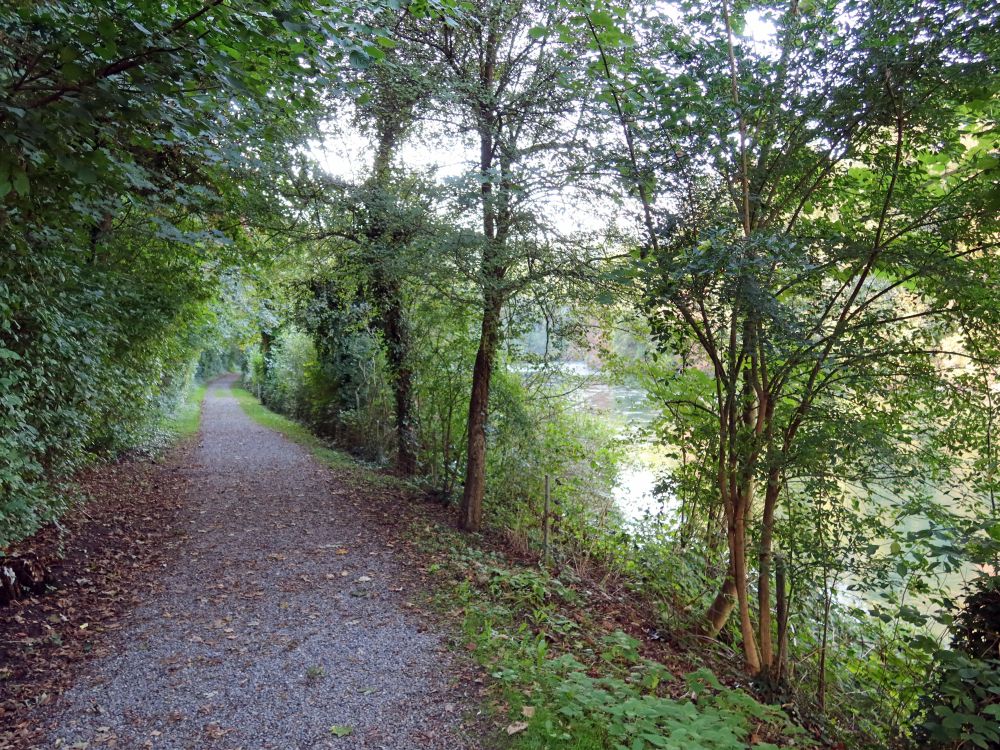 Limmat-Uferweg