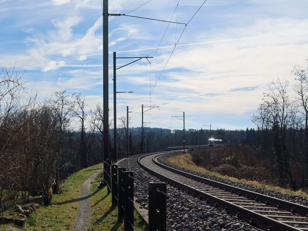 Pfad zur Thurbrücke Ossingen