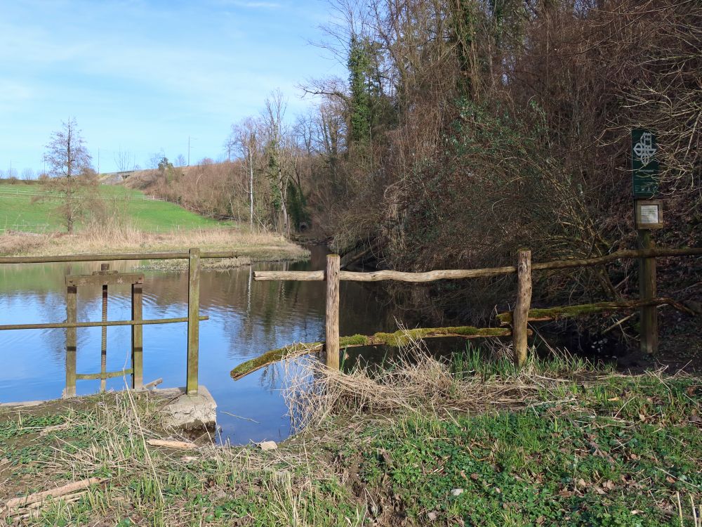 Teich im Zelgli