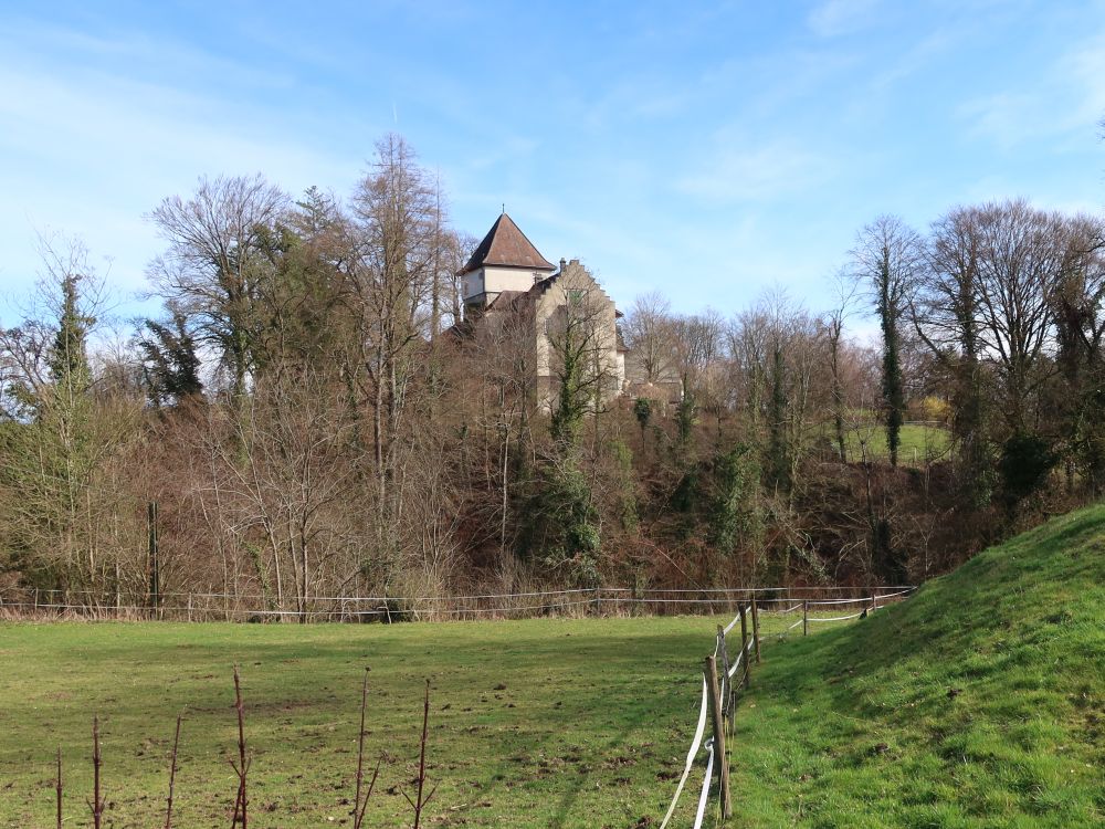 Schloss Wyden