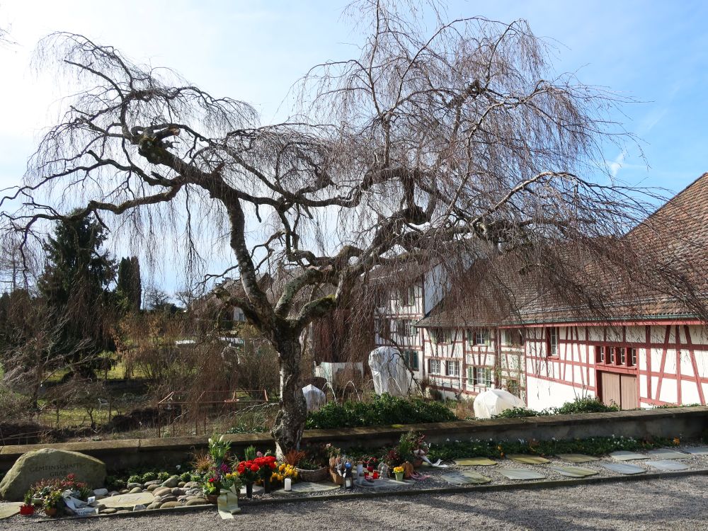 Fachwerk in Hausen