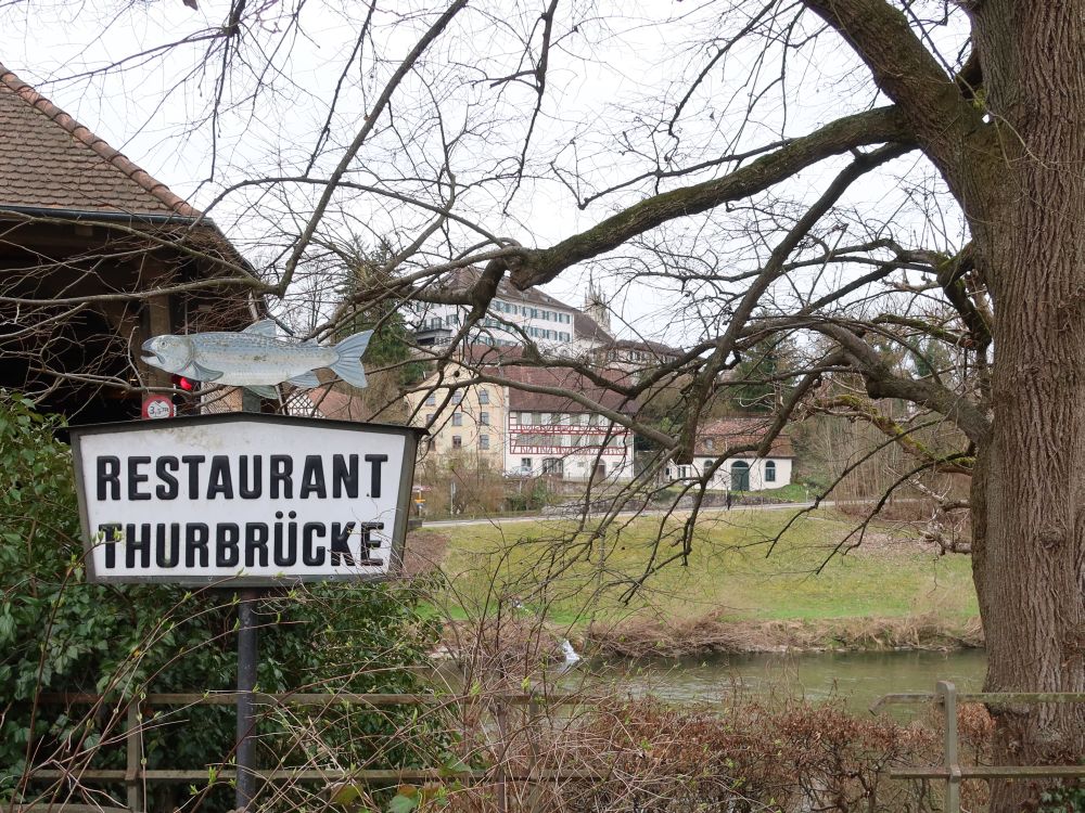 Blick zum Schloss Andelfingen