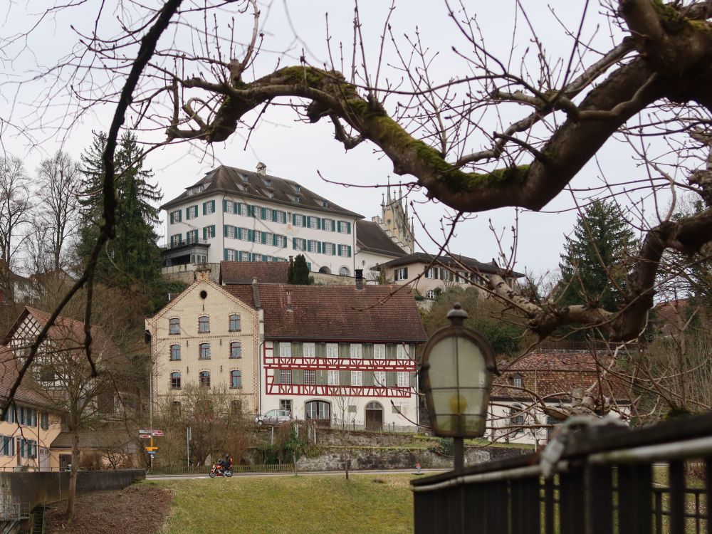 Schloss Andelfingen