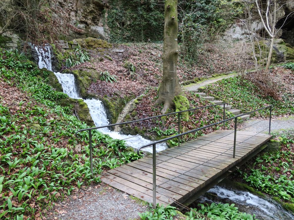 Wasserfall und Steg im Schlosspark