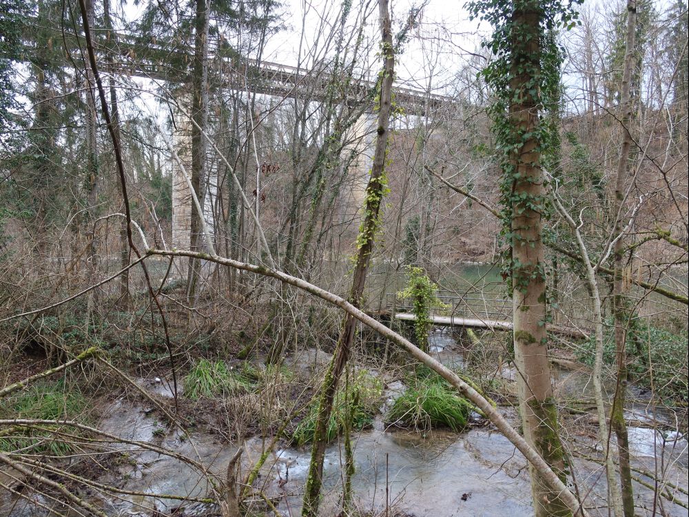 Thurbrücke Andelfingen