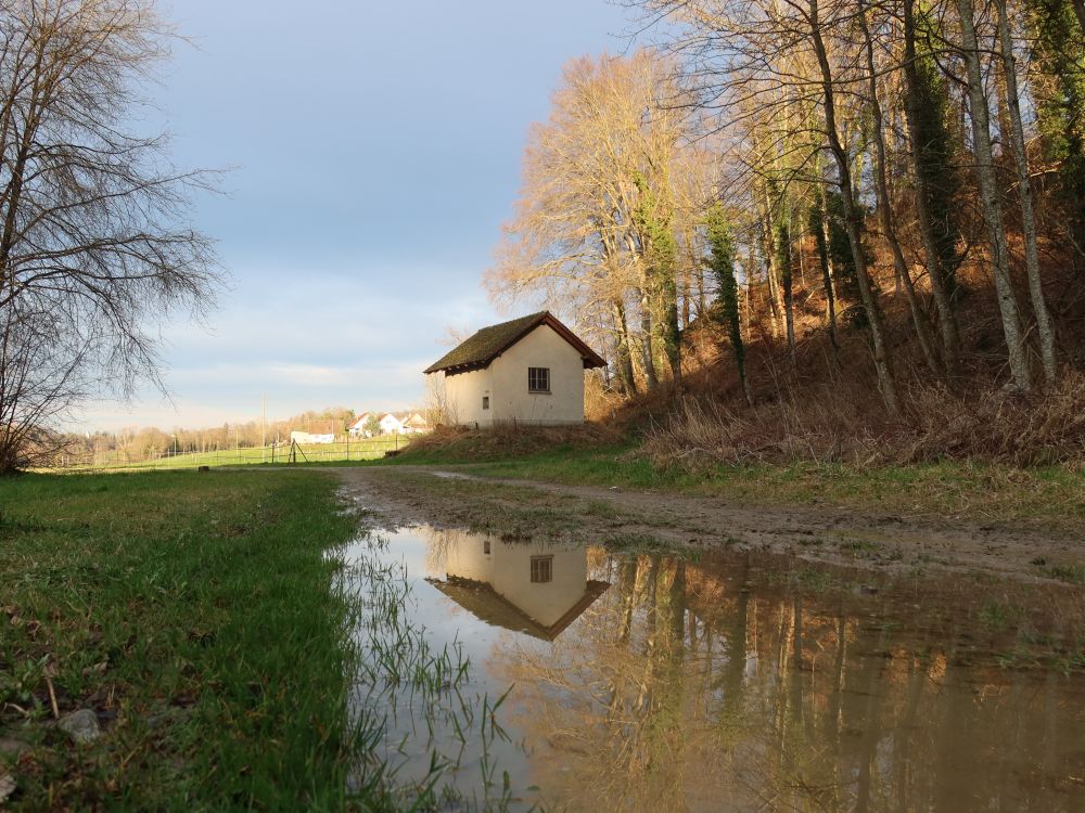 Spiegelung in einer Wegpfütze